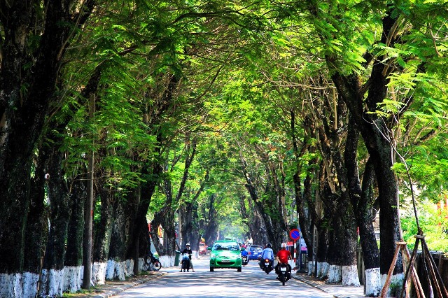 Huế là thành phố xanh rực rỡ với những khu vườn hoa, cây cối bao phủ khắp nơi. Bạn sẽ bị mê hoặc bởi không khí trong lành, sức sống của thiên nhiên khi đặt chân đến Huế.