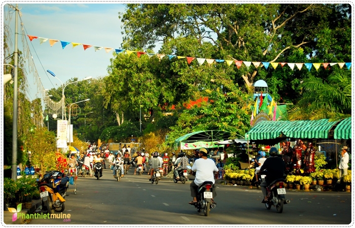 chợ hoa tết phan thiết